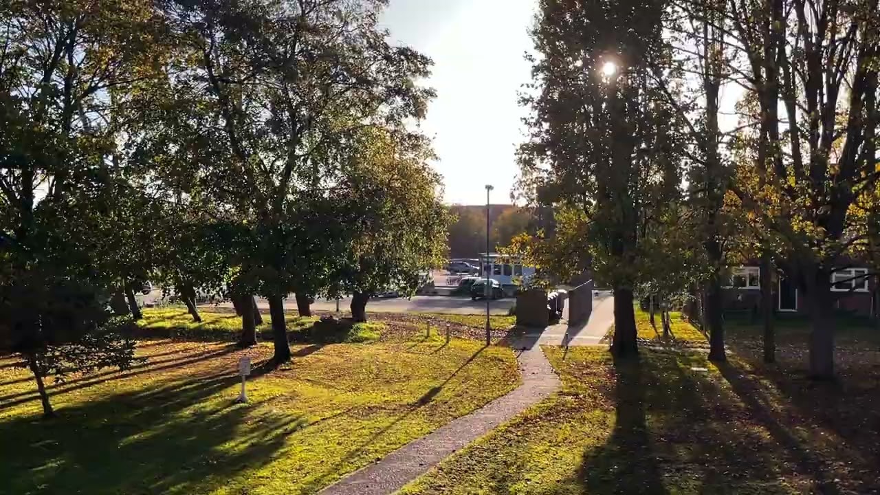 Gentle Morning Rise ☀️