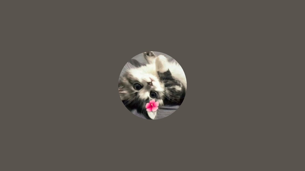 KitKat_THEcat 🎀 nadaje na żywo || spotkanie