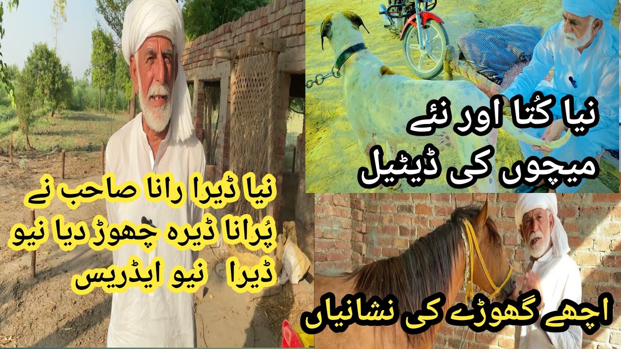 Rana Naseer baba Naseer new latest video best interview episode 09