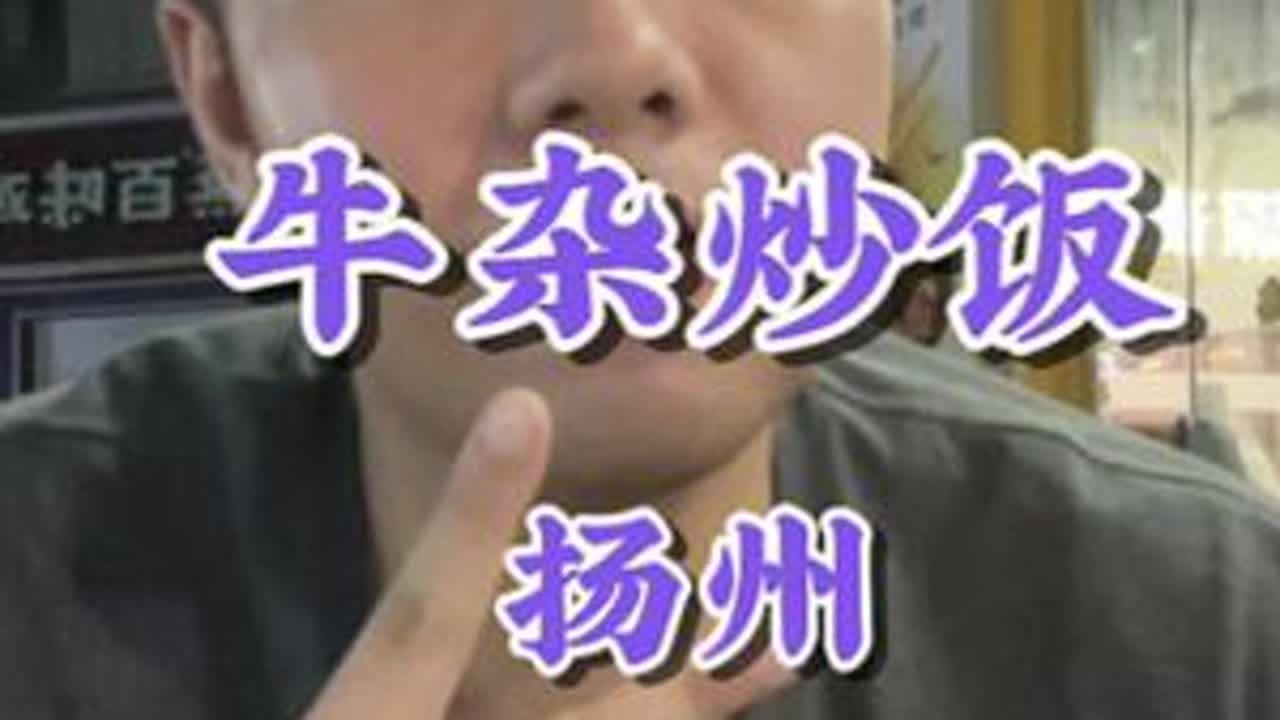 炒饭质检员再次上线，宝龙夜市的牛杂炒饭能否拿捏味蕾？#炒饭 #夜宵 #扬州美食 #同城美食 #好好吃饭