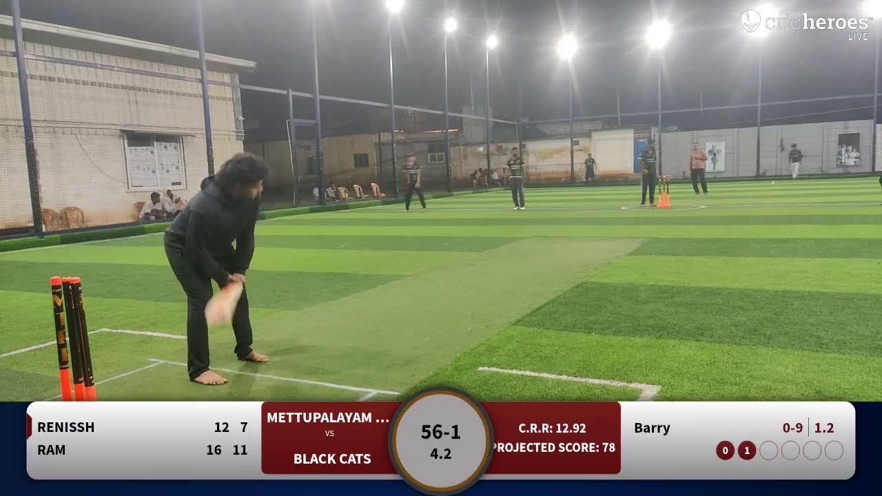 BLACK CATS vs Mettupalayam Mavericks live cricket match | Mounttown MTPL - II live - Star Turf Mett