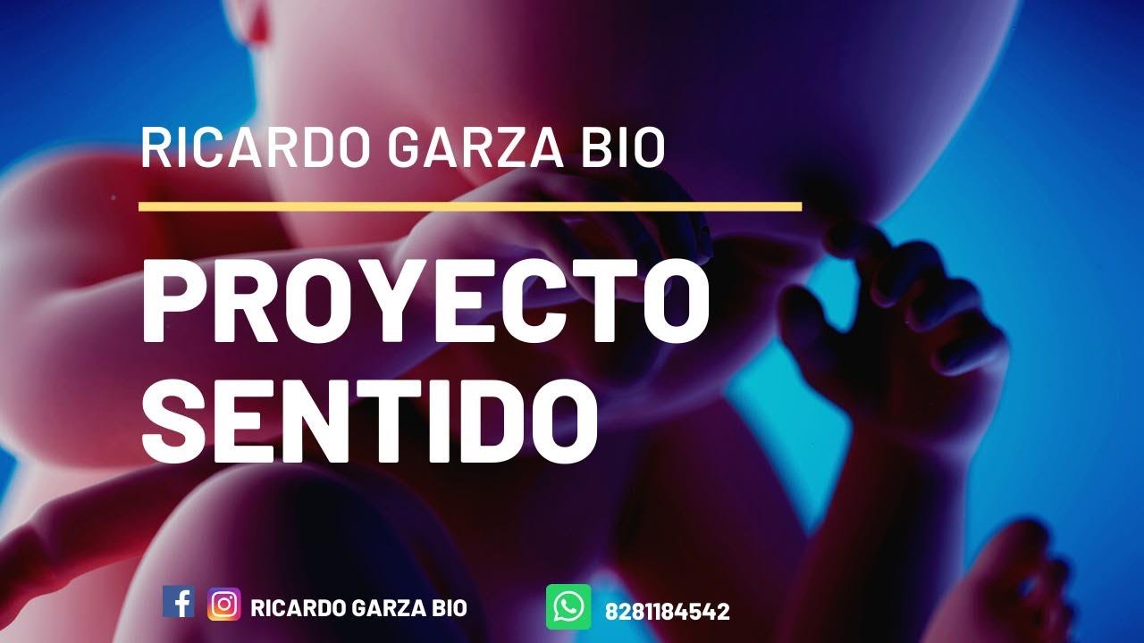 El Proyecto Sentido