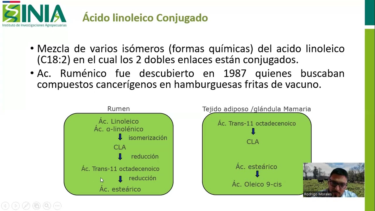 Carne y productos cárnicos_M5_U4_5A