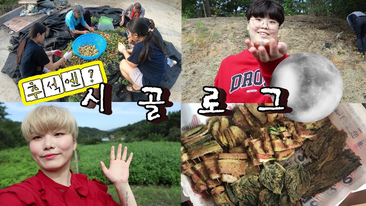 추석엔 시골이지~~~[시골에서 보내는 명절 브이로그!! ft.친척들] 0zoo 영주