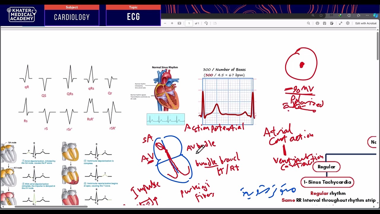 ECG Revision - O6U - Dr Khaled Khater