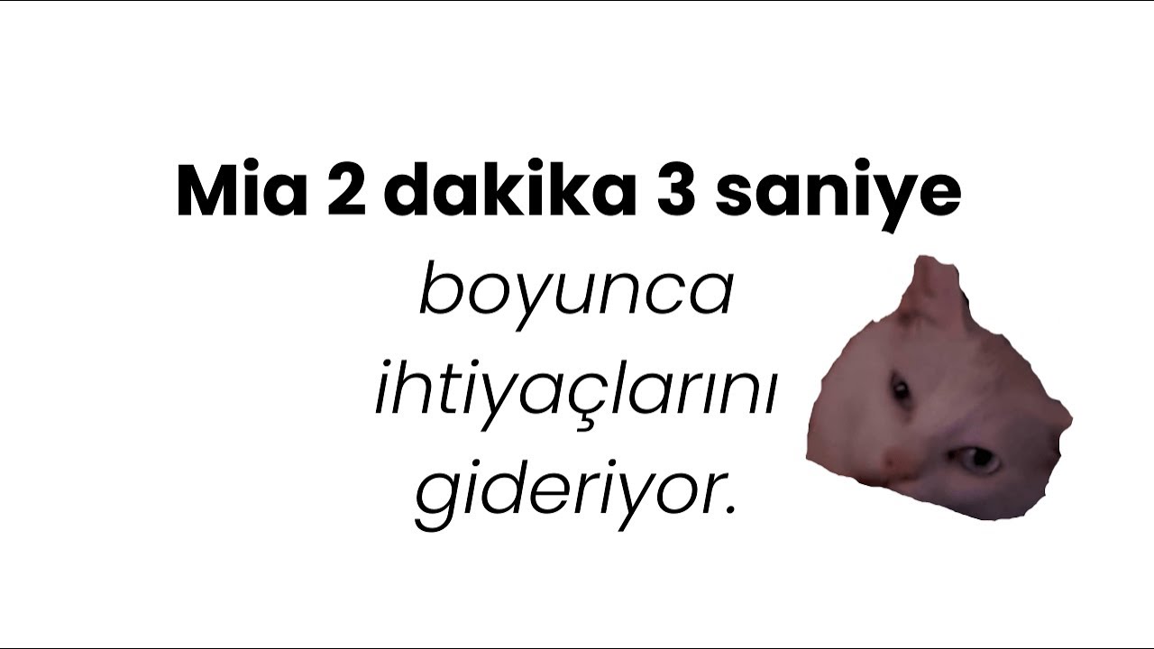 Mia (Pqueen'in kedisi) 2 dakika 3 saniye boyunca ihtiyaçlarını gideriyor.