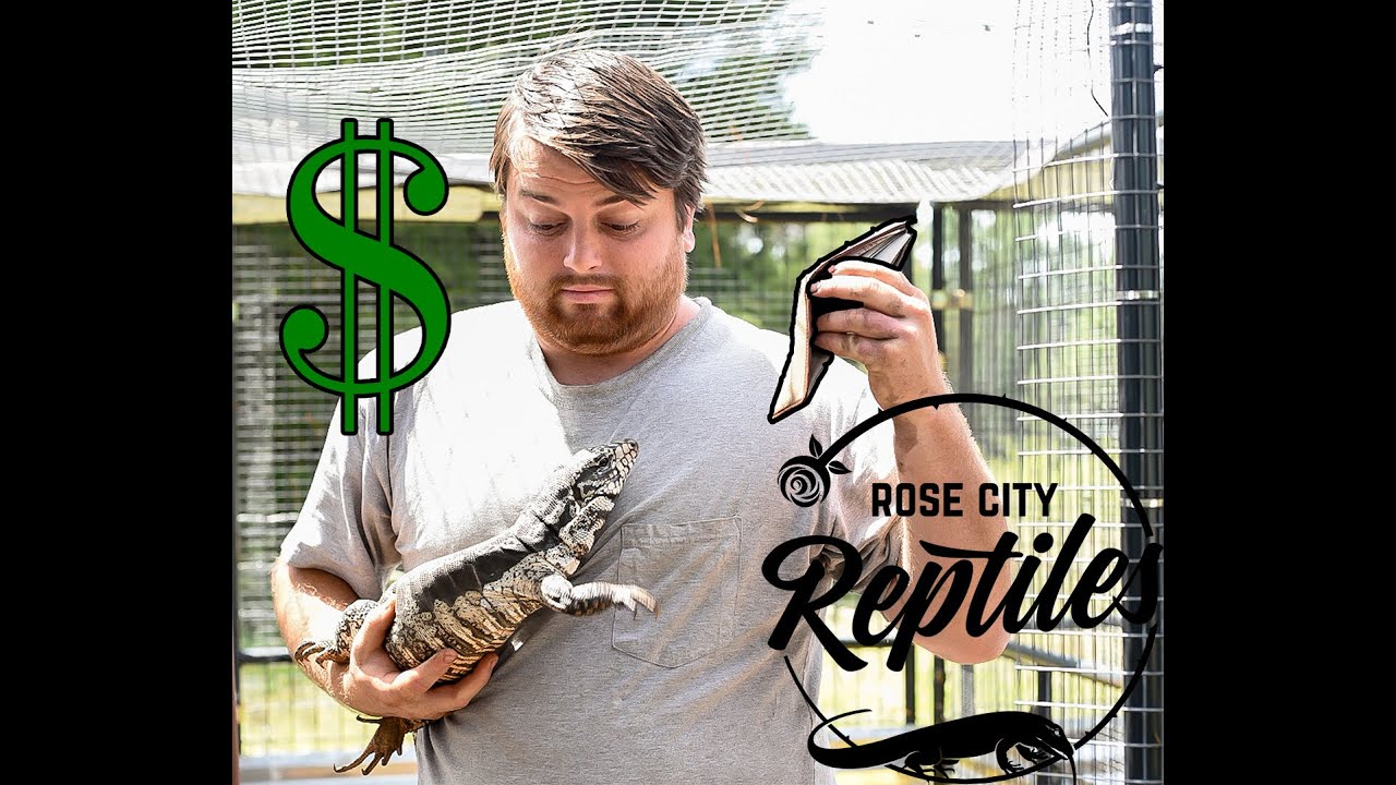 HOW MUCH DOES IT COST TO FEED A TEGU?