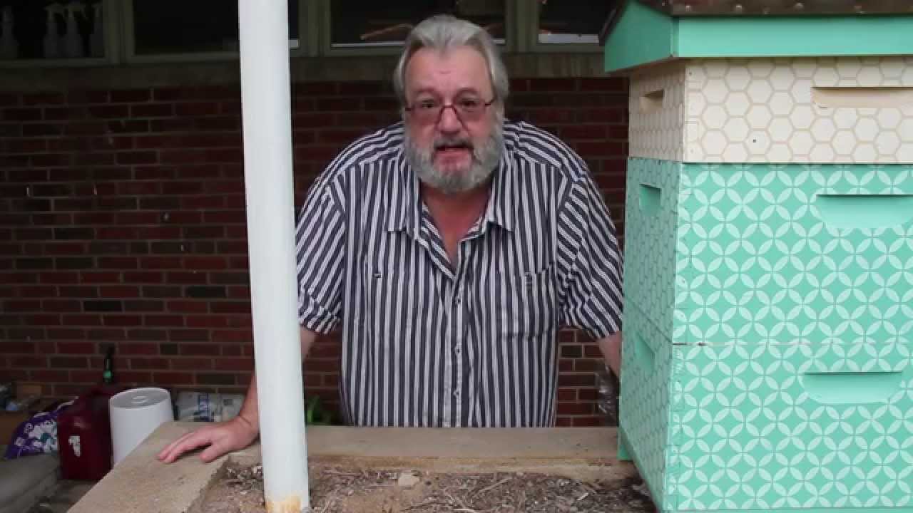 How to check for Varroa Mites