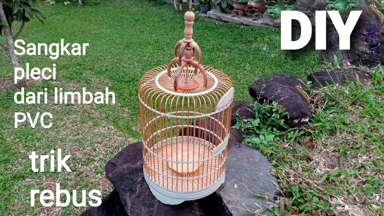 (S.72) Rebus paralon bekas jadi sangkar pleci cantik