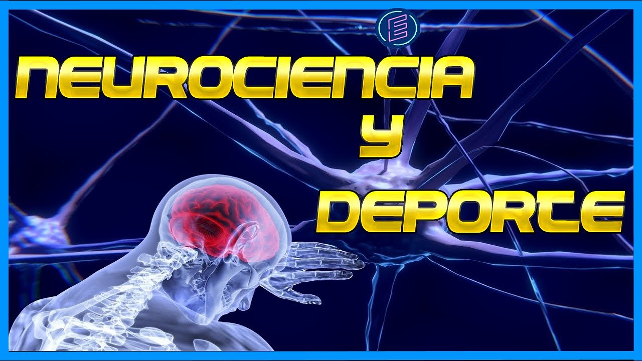 Lo que NECESITAS saber sobre la Neurociencia aplicada en el DEPORTE 🥋🏀⚽ 🎖️🏆