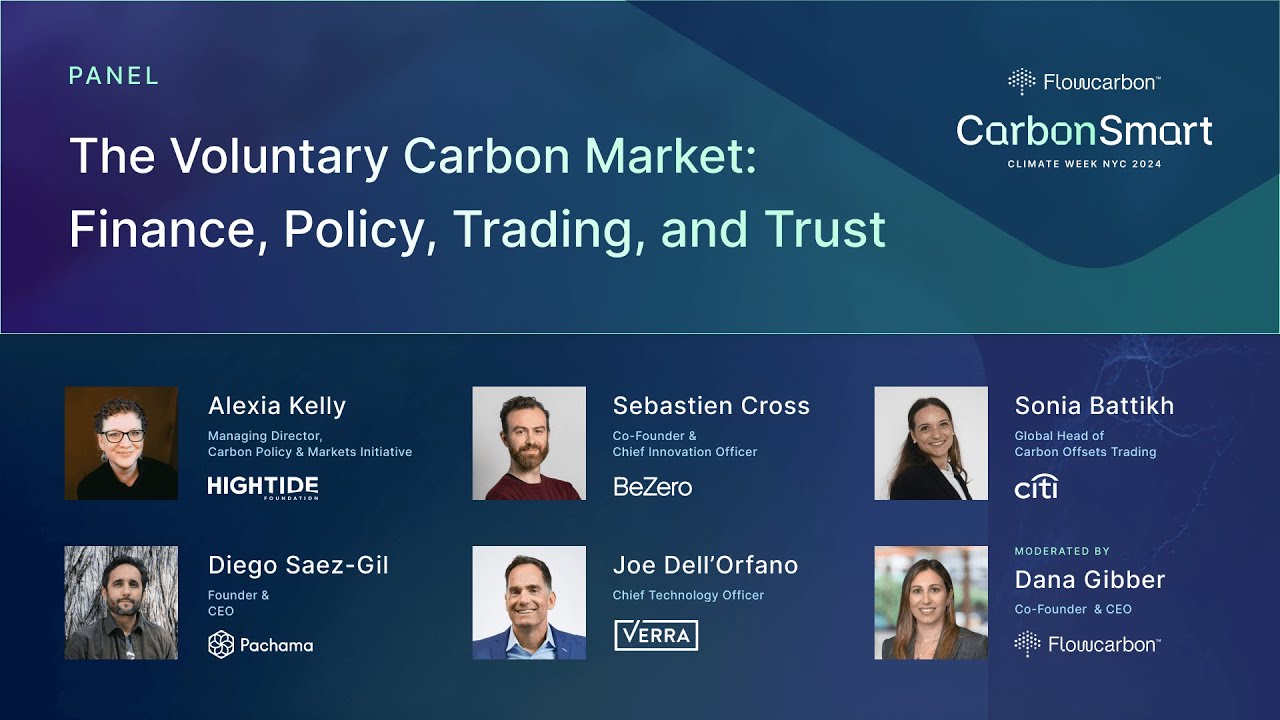 The Voluntary Carbon Market: Finance, Policy, Trading, and Trust