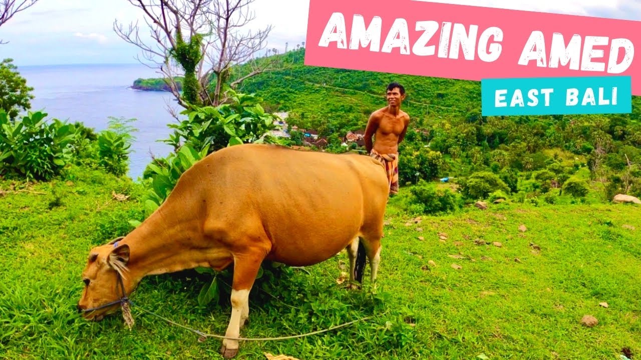 Welcome to Amed Bali 😍😎❤️