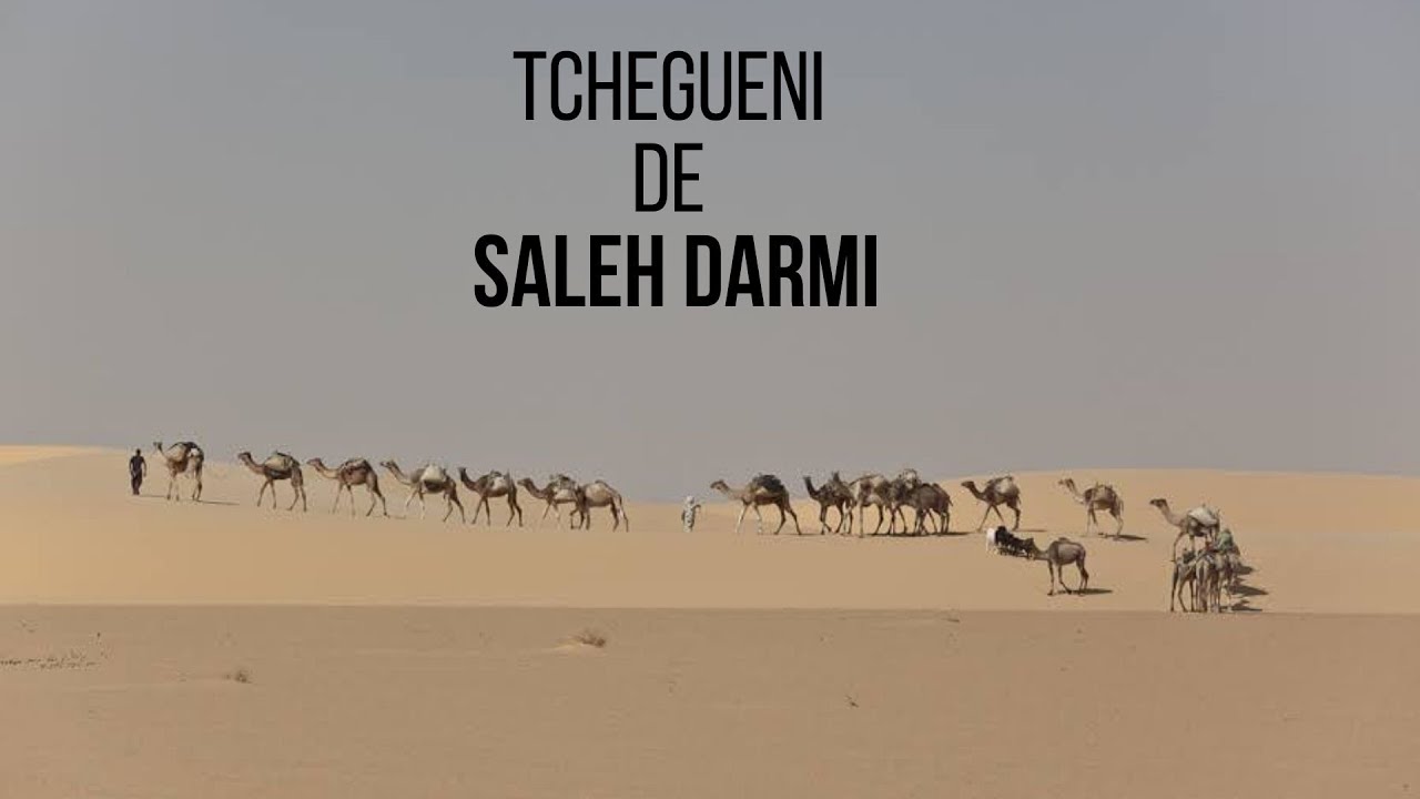Gourane : Tchegueni de Saleh Darmi