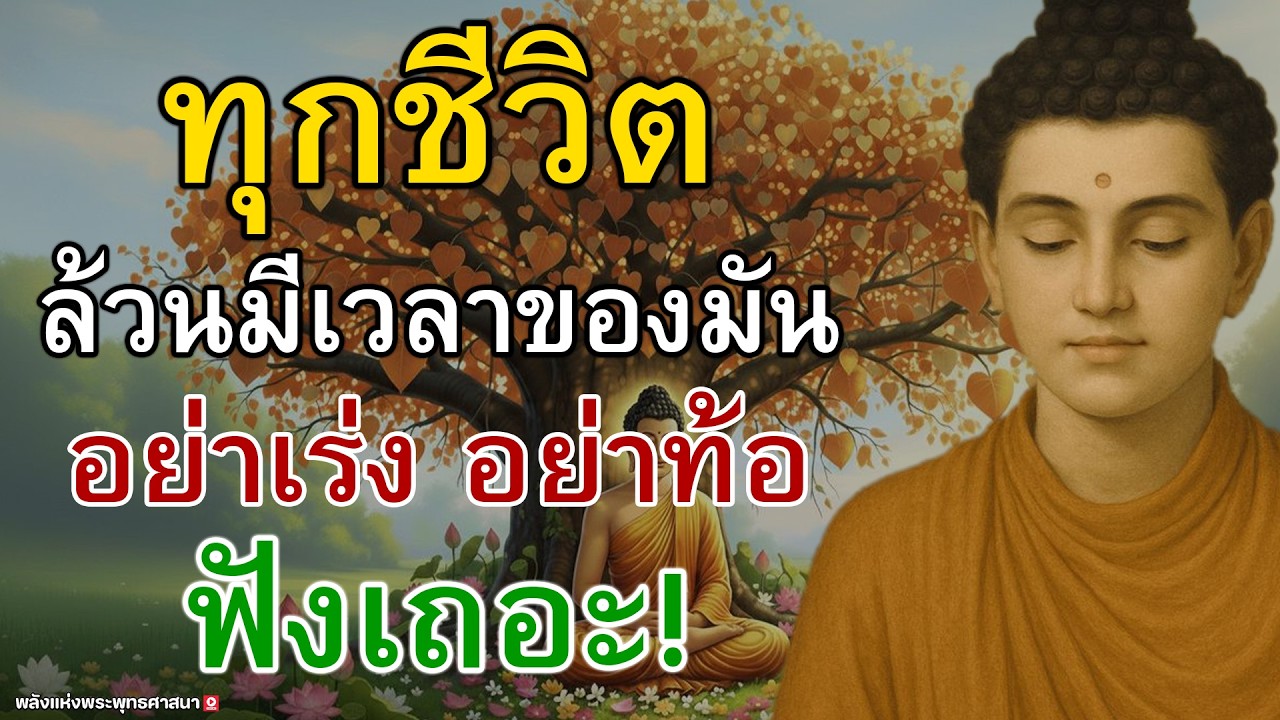 🕯️ทุกชีวิตล้วนมีเวลาของมัน อย่าเร่ง อย่าท้อ #ธรรมะก่อนนอน #ฟังธรรมยามเช้า