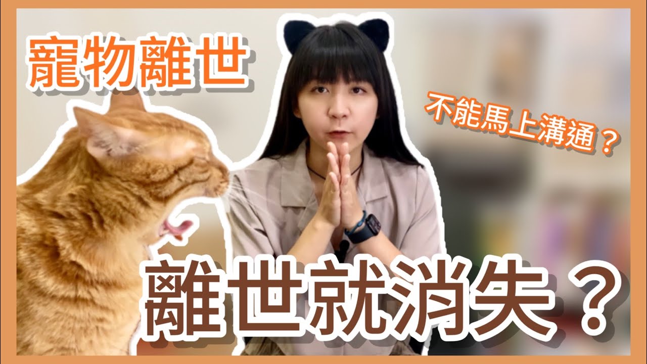 【Mow想說】寵物離世後去了哪裡？EP3.離世溝通為什麼不能馬上溝通？我好想念我的毛小孩！