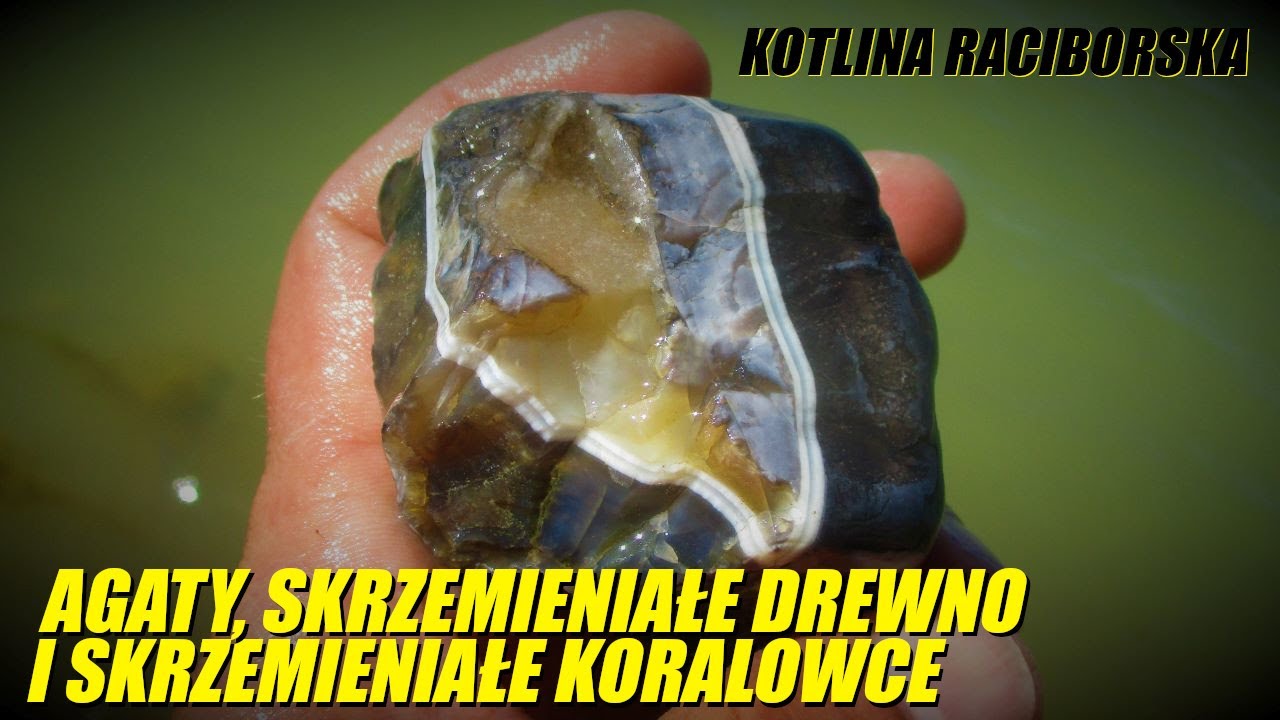 AGATY, SKRZEMIENIAŁE DREWNO I KORALOWCE (Opolszczyzna, Czerwiec 2021)