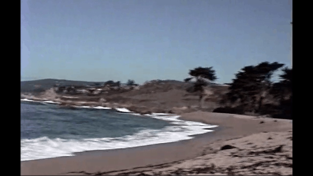 November 1992 | Extended Family Visit to Monastery Beach | Carmel, CA | Unedited Home Video