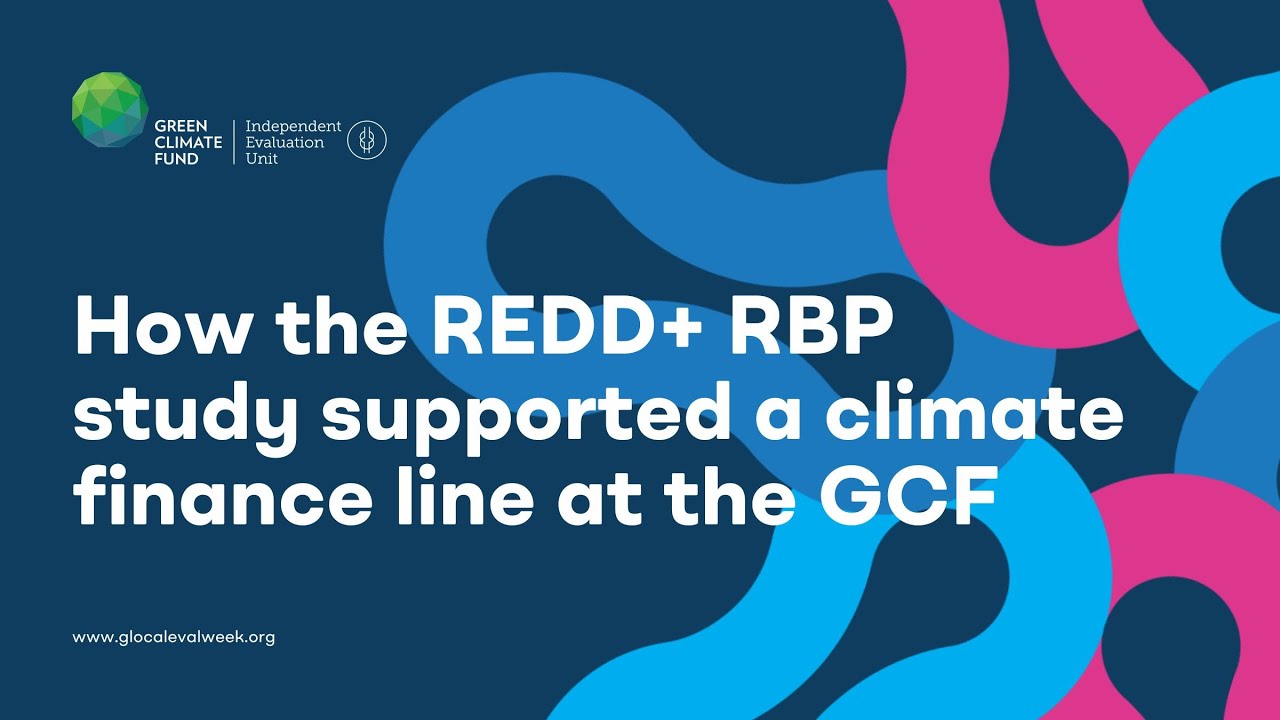 GLocal 2025: How the REDD+ RBP study supported a climate finance line at the GCF