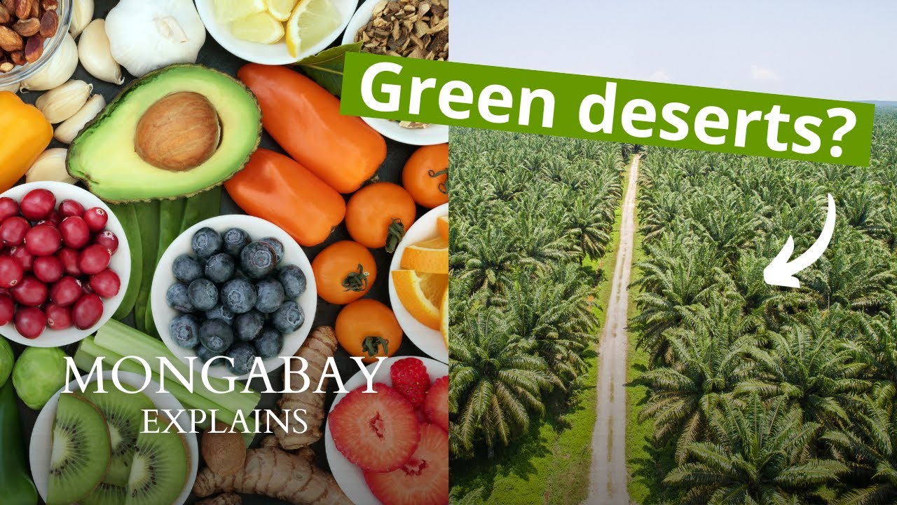 Why aren&rsquo;t monoculture farms as valuable as the ecosystems they replace? #MongabayExplains