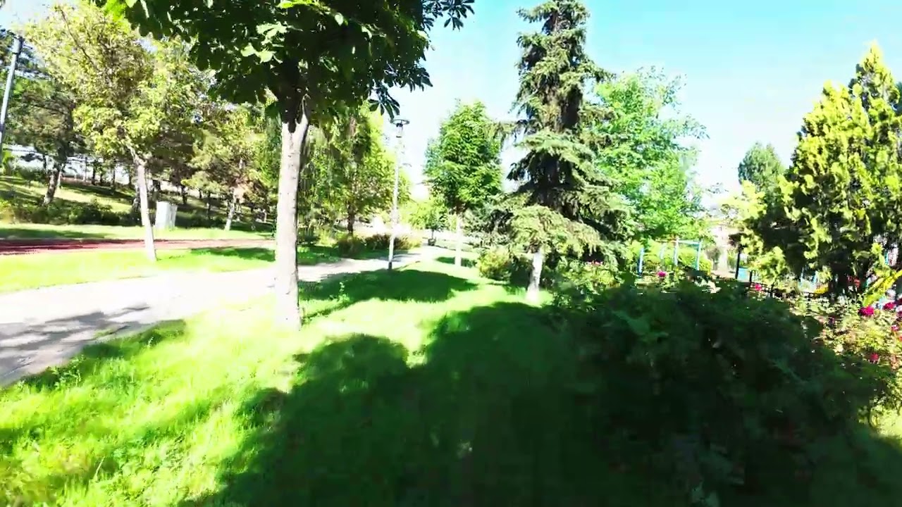 Cinematic FPV Freestyle in the Park