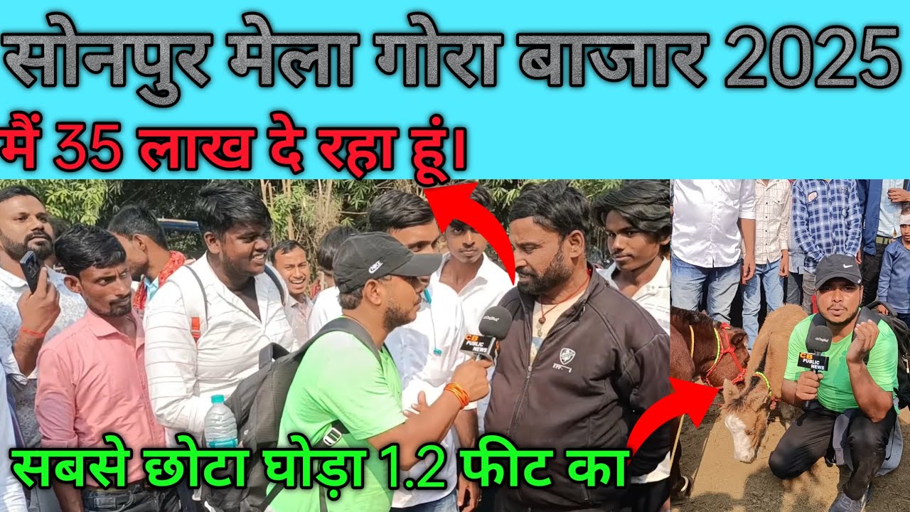 Sonpur mela ghoda bajar 2025 || सबसे छोटा घोड़ा 1.2 फीट का|| #घोड़े #Sonpurmela2025