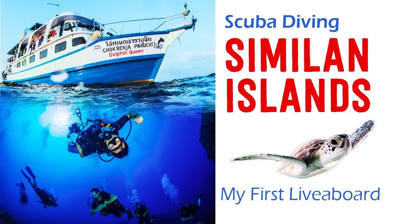 Similan Islands Diving: Dolphin Queen Liveaboard [2019] - Part 1