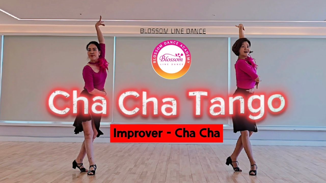 Cha Cha Tango Line dance/Improver - Cha Cha/차차 탱고 라인댄스/지소희 강사