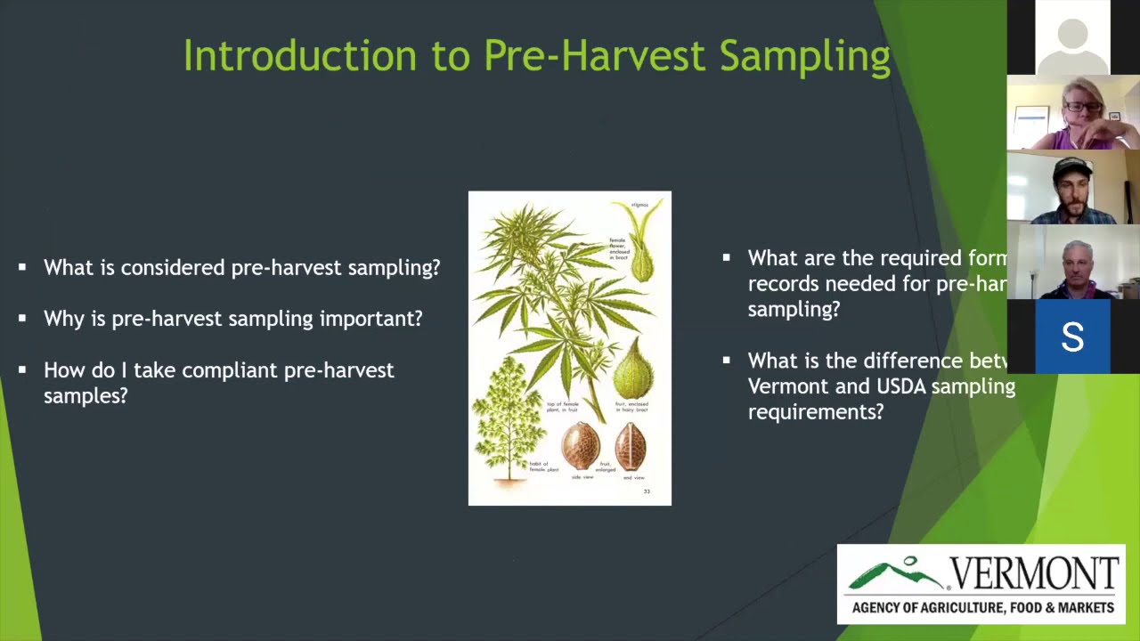 Hemp Pre-Harvest Sampling