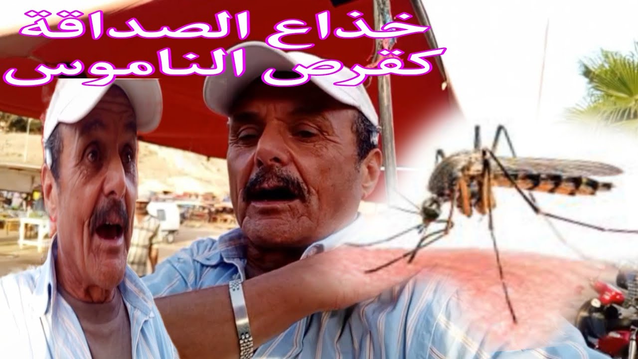 بوحسن رجل يتعامل مع اي شخص بطيبوبة قلبه لكن للاسف رد الفعل كان قاص له من بعض الذئاب تابع الحلقة معنا