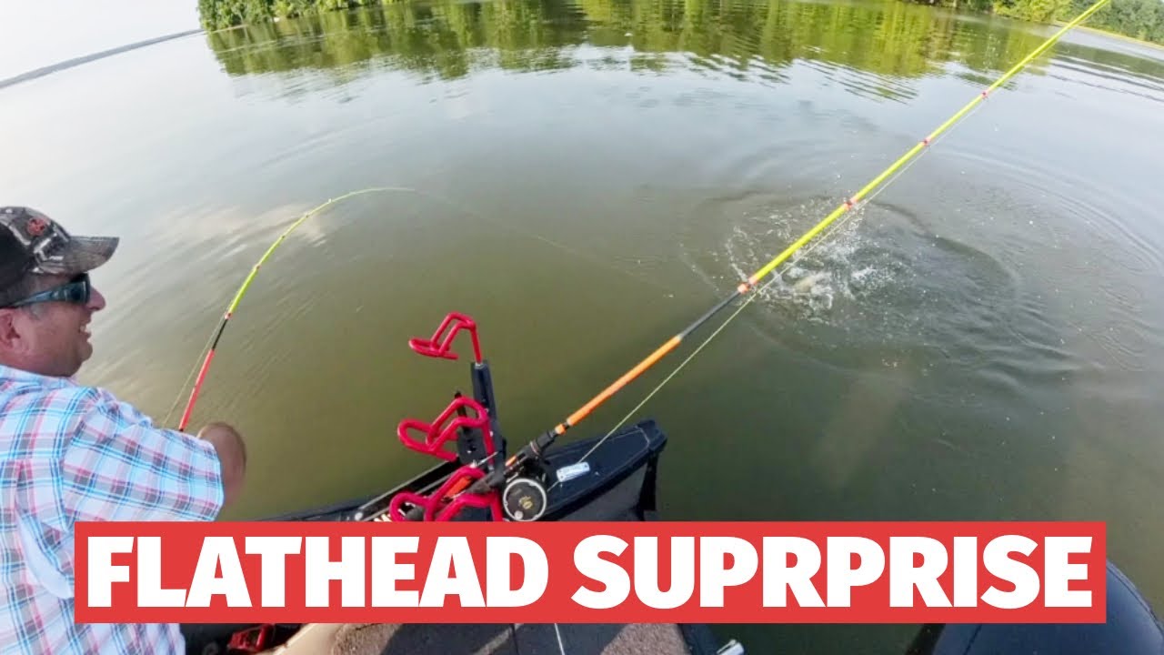Flathead Surprise.  He tried to WRECK boat.