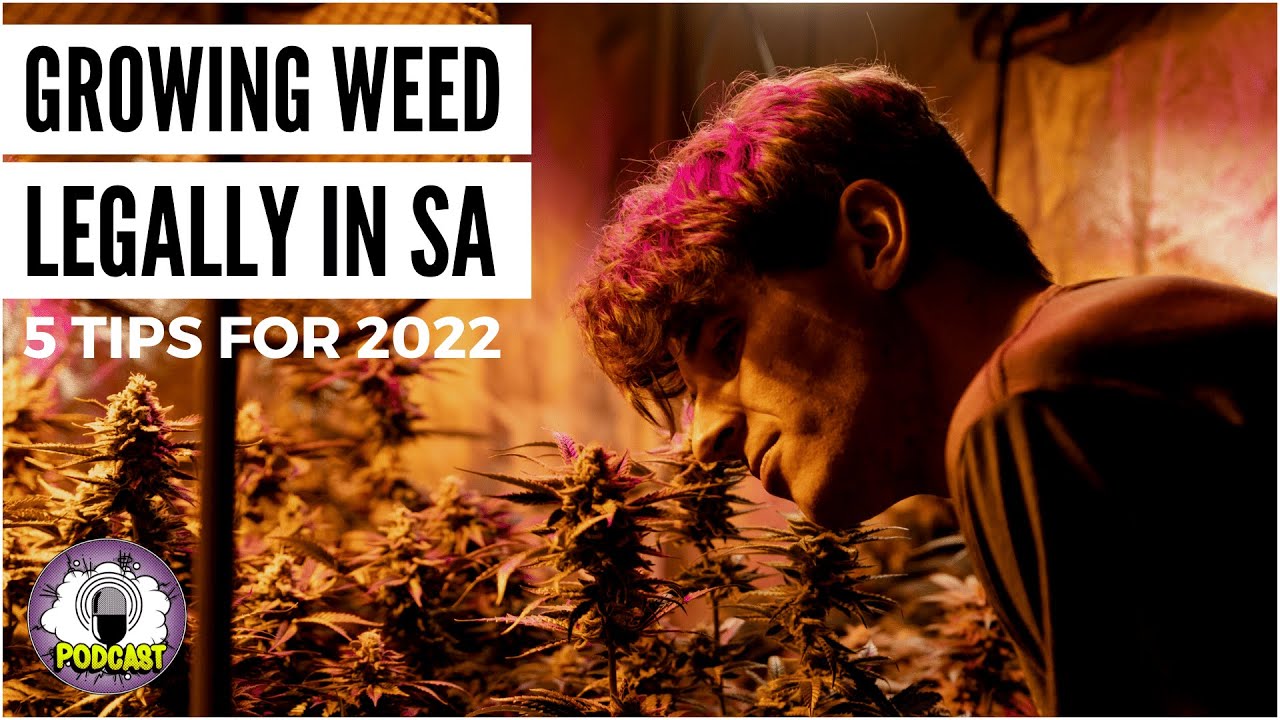 5 Tips to Grow Weed Legally in South Africa!