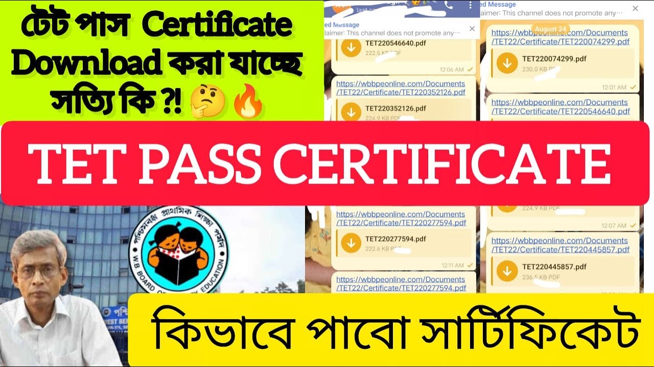 TET 2022 Pass Certificate Download Full Process | TET 2022 & TET 2023 Certificate | TET Certificate