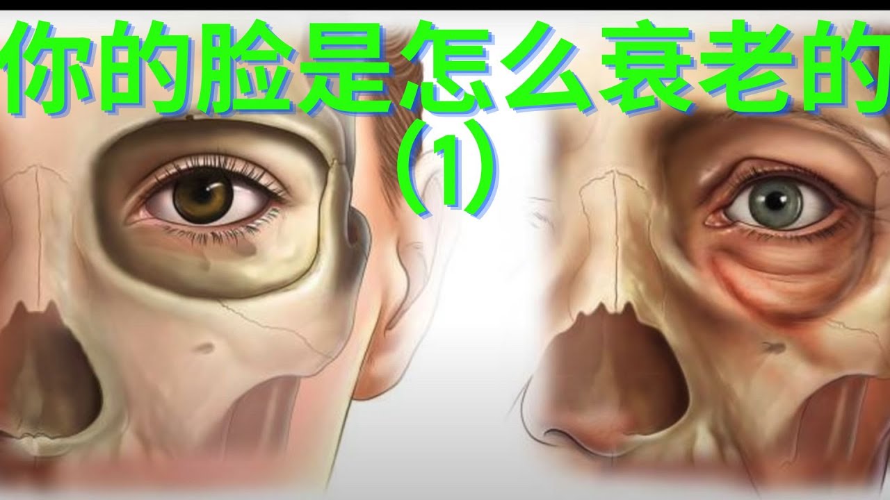 脸是这么衰老的（1）#脸部衰老是如何发生的 #如何拯救脸部的衰老