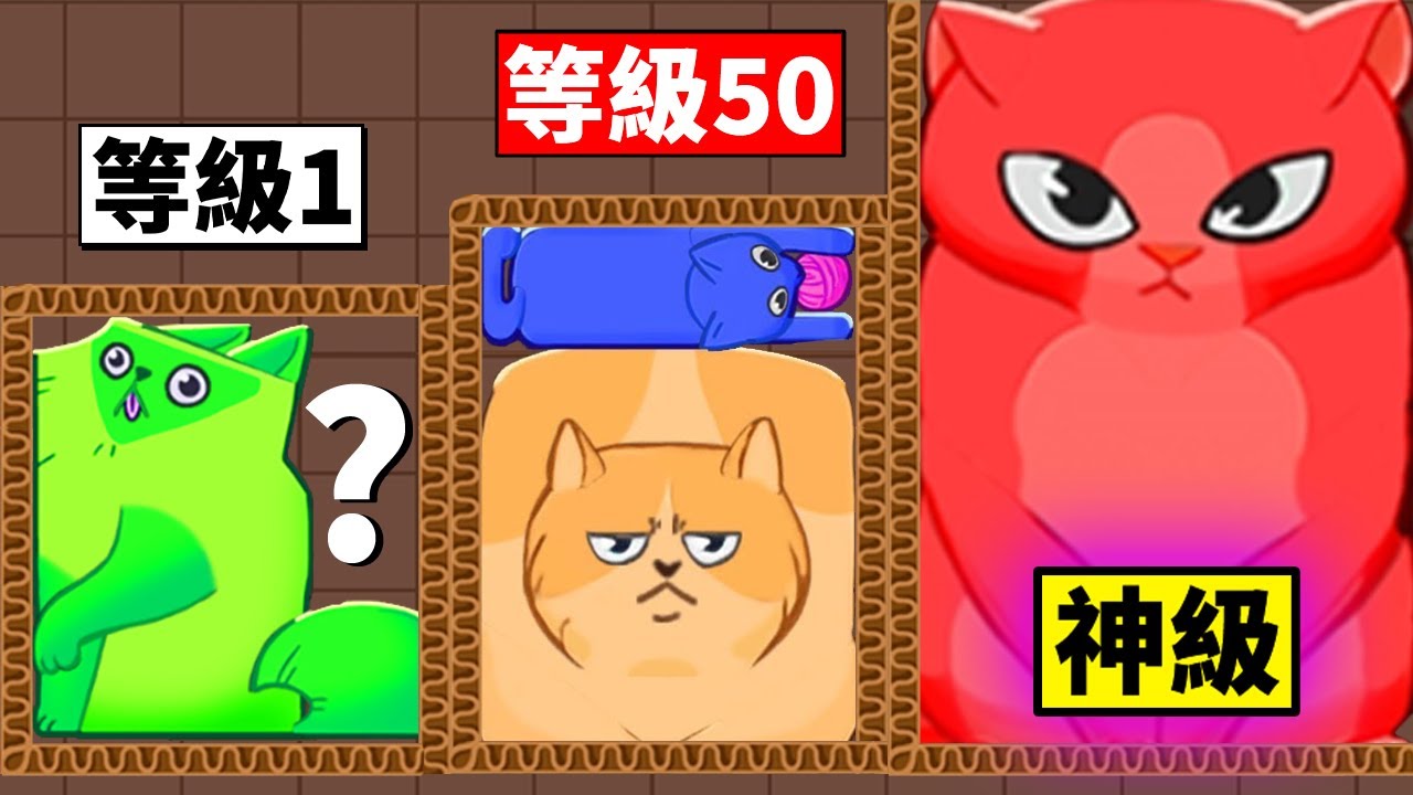 我把９９９９隻貓咪塞進箱子裡！？【Puzzle Cats】