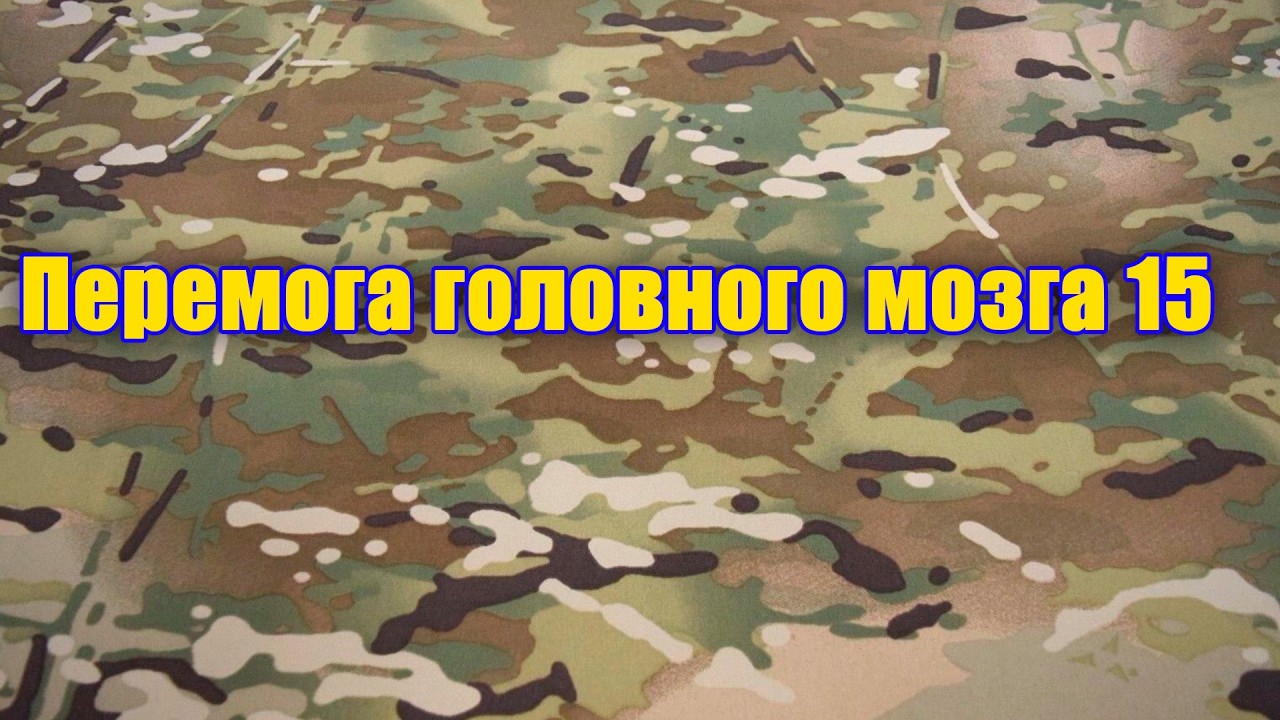 Перемога головного мозга.15-ая серия