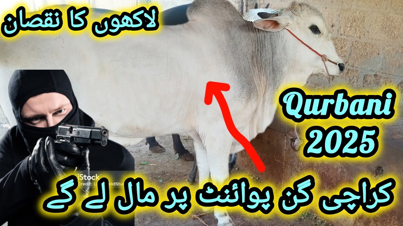 Qurbani 2025 ka mall chori 🥷🥷🥷 23 || may || 2025 #cow #goat #pets