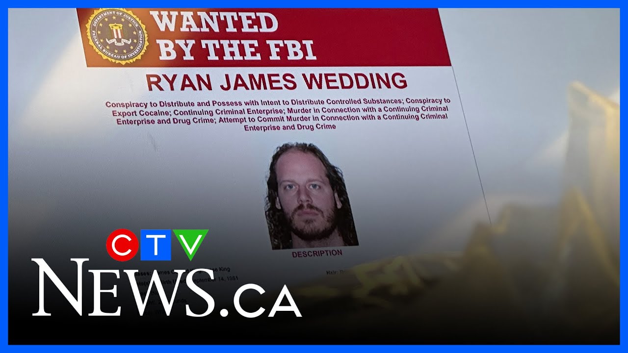 Mexican authorities raid homes as they continue to search for Ryan Wedding