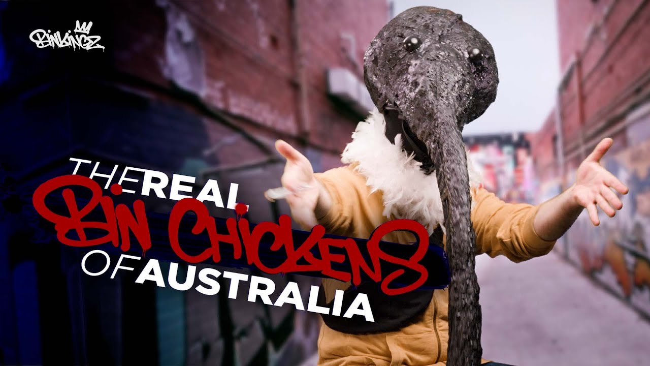 The Real Bin Chickens of Australia