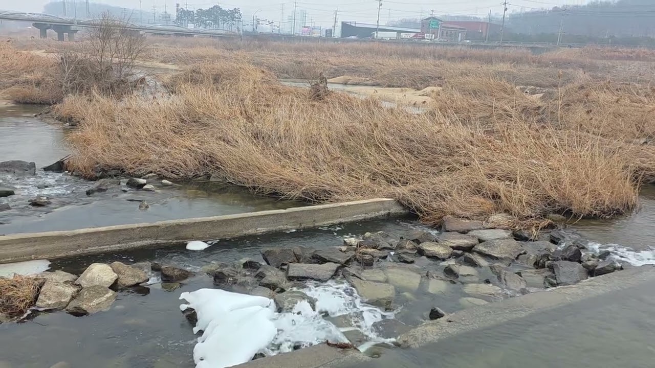 하천변에서 물소리 시원하게 담아 봅니다.#하천#물소리