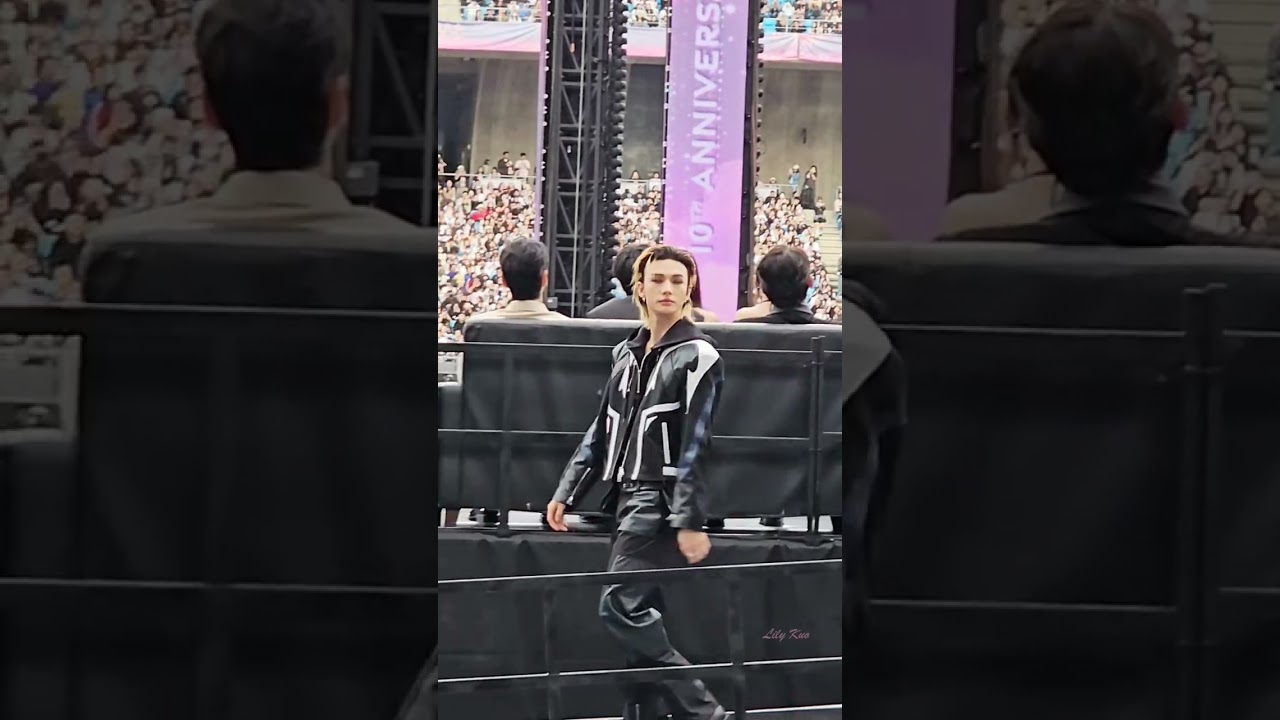 20251206 Asia Artist Awards в Каосюне - #stray Kids #Felix