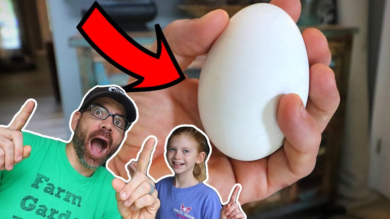A BIG YouTuber Sent Us These SPECIAL Hatching Eggs!!!