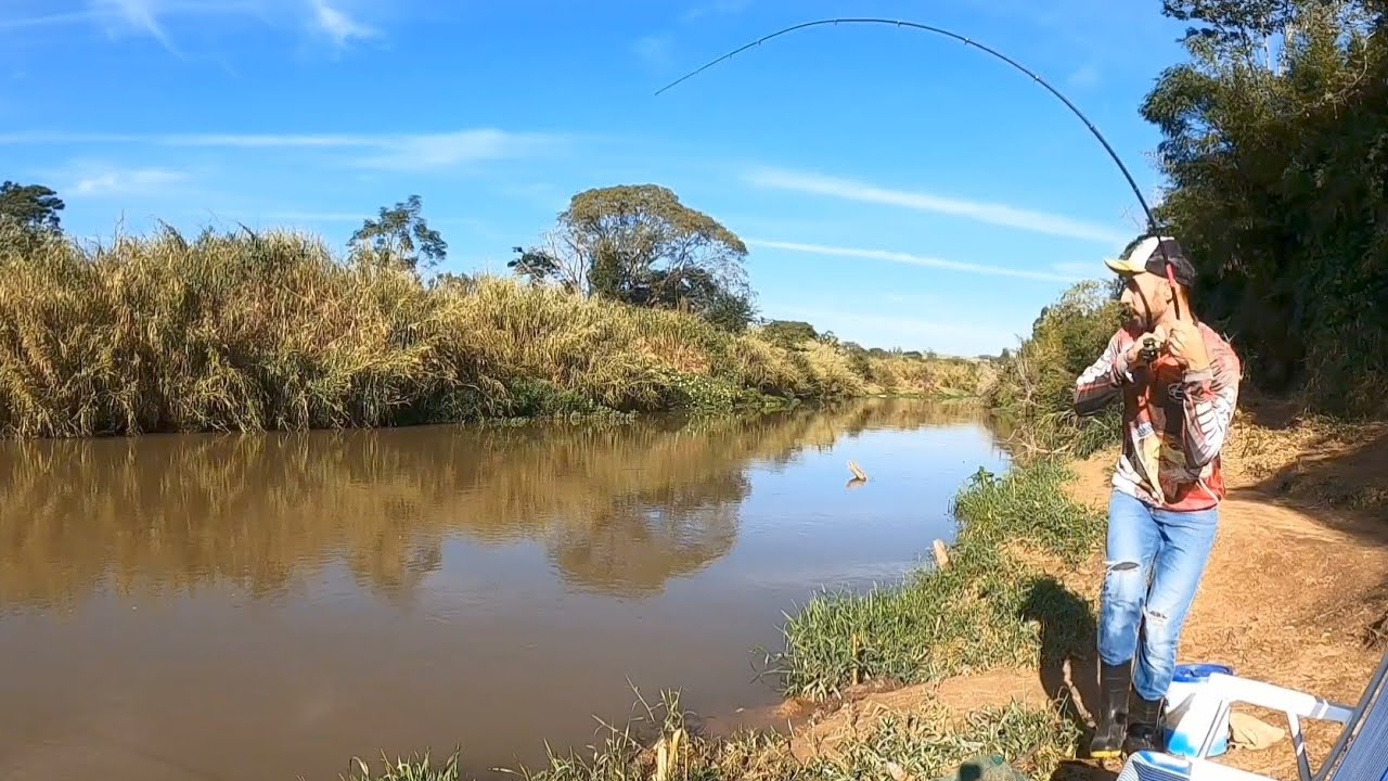 ACERTEI SÓ OS GRANDES NESSE PONTO NOVO DO RIO CORUMBATAÍ!!#pescaria #fishing #fish #curimba