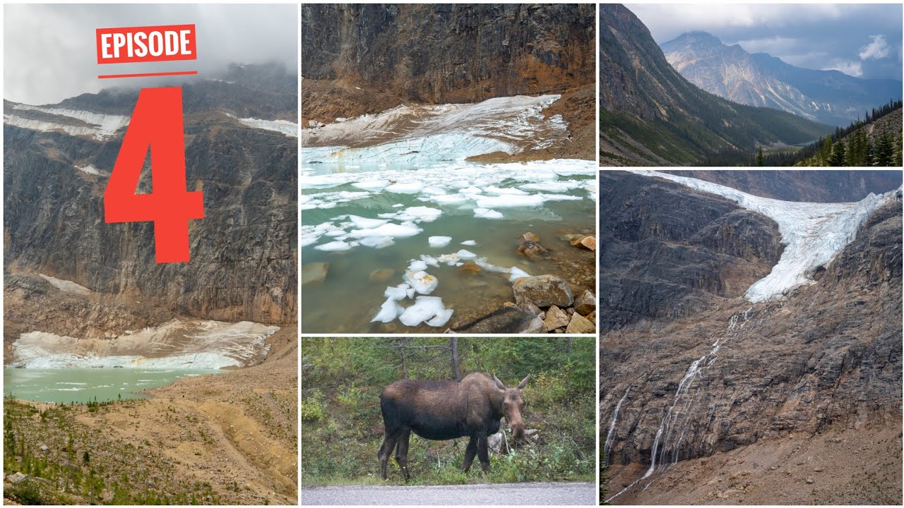 Jasper | Episode 4 | Edith Cavell | Wildlife Tour | CANADA
