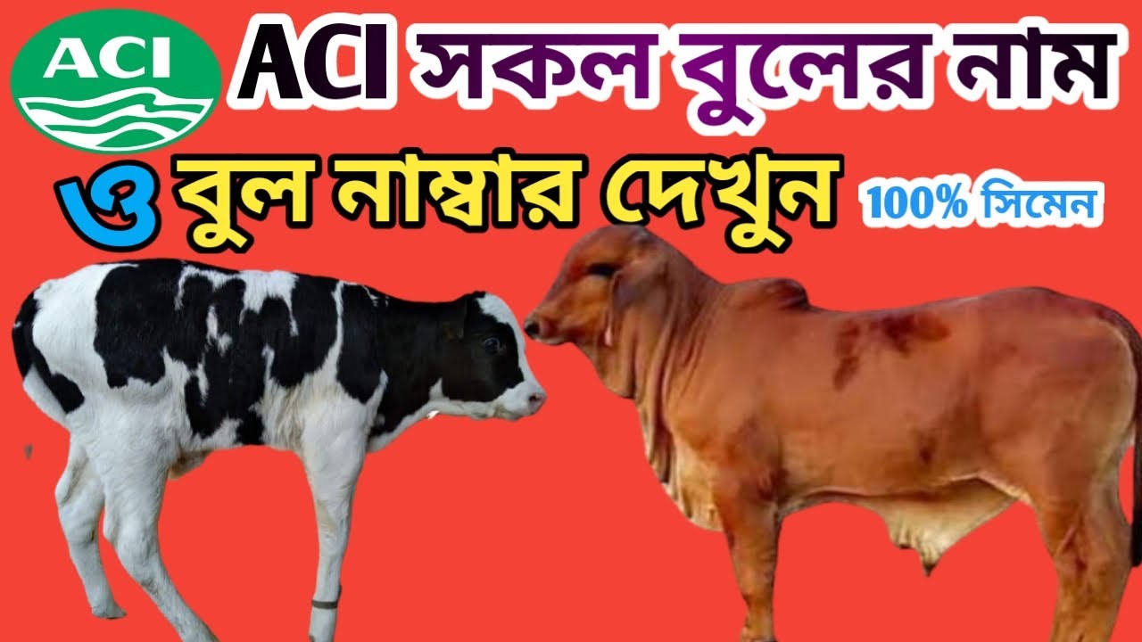 ACI বুল নাম্বার ও বুল গুলো দেখুন, সকল ডাউট ক্লিয়ার করুন। See all ACI bull numbers in this video.