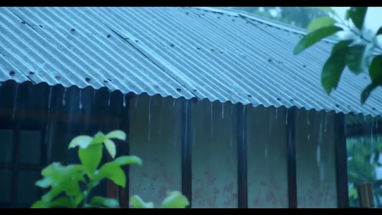 Fall Asleep Instantly in Minutes 😴 Real Heavy Rainstorm on Metal Roof & Thunder on Stormy Night