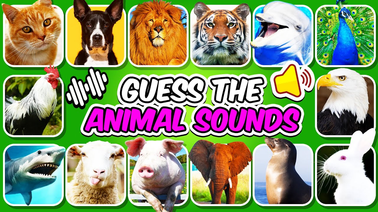 Can You Guess 100 Animal by the Sound? | Guess The Animal Quiz 🔊