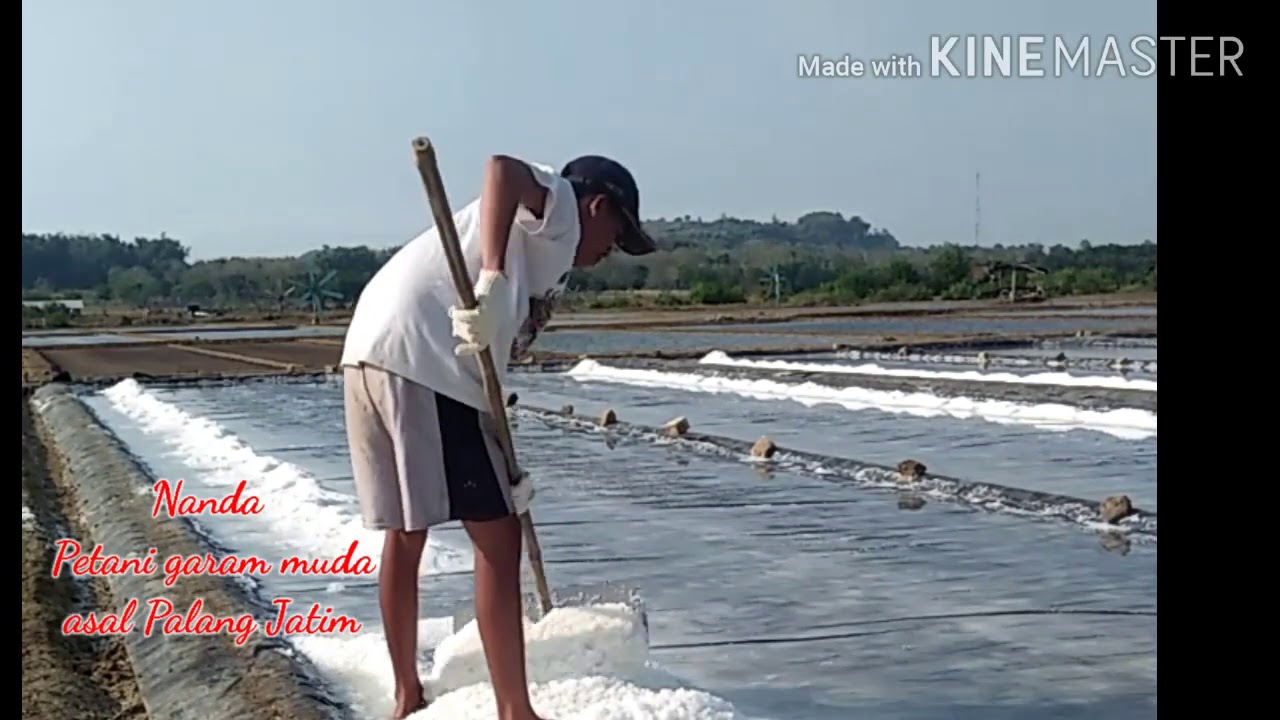 Ngobrol Santai Bersama Petani Garam Muda Tuban Kec.Palang