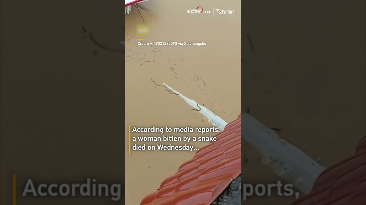 Typhoon Maysak floods Guangxi, snakes escape into waters