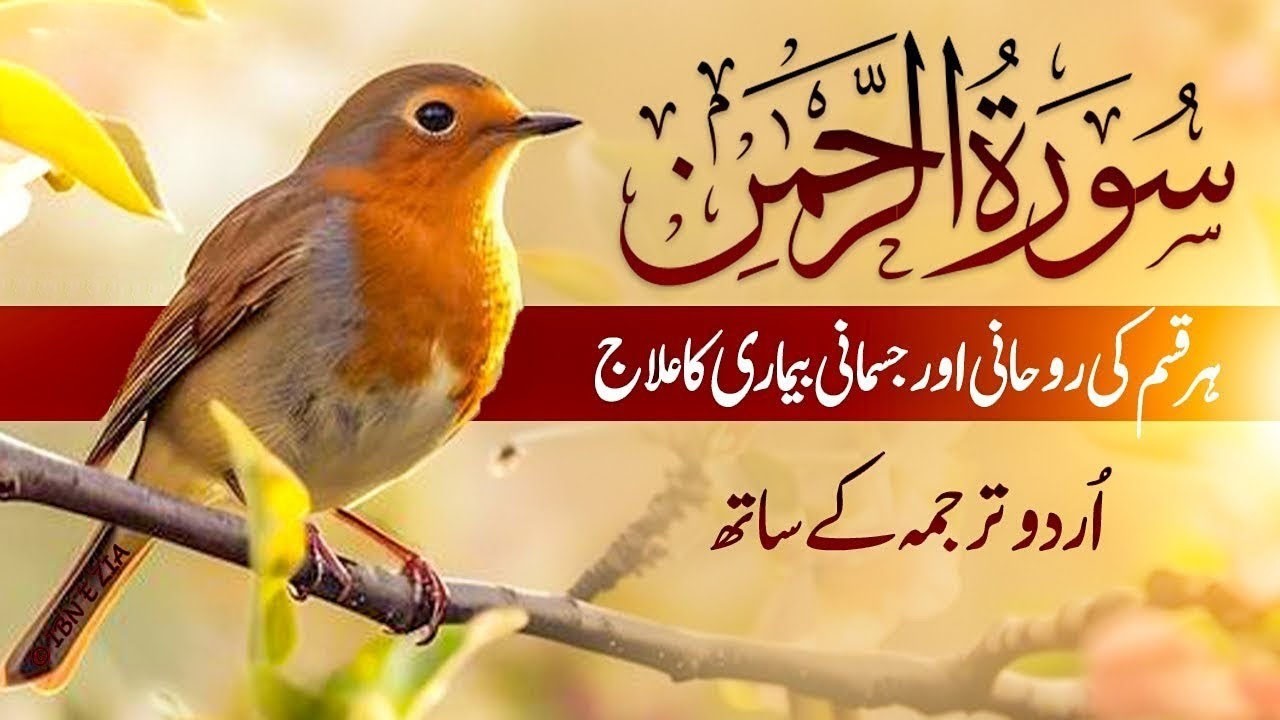 Surah Rahman with Urdu Translation | Beautiful Quran Tilawat by Qari Abdul Basit | سورۃ الرحمن | 14