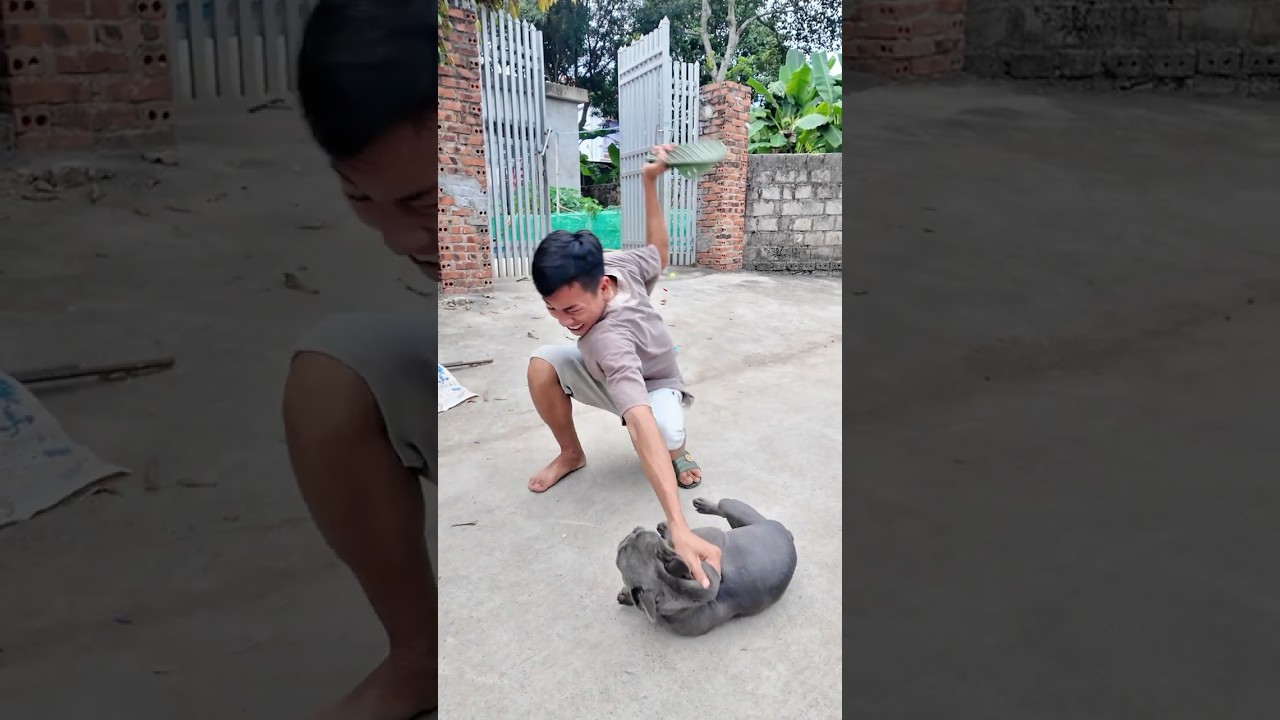 &ldquo;Elderly Man Rescues Abused Dog from Cruel Owner &ndash; Heartwarming!&rdquo;#dog #lovedog #pet